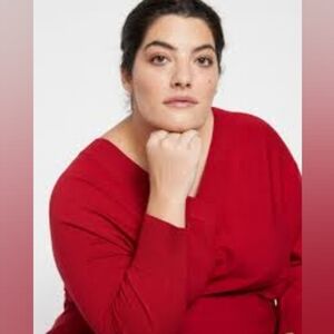 Universal Standard Red V-Neck Sweater